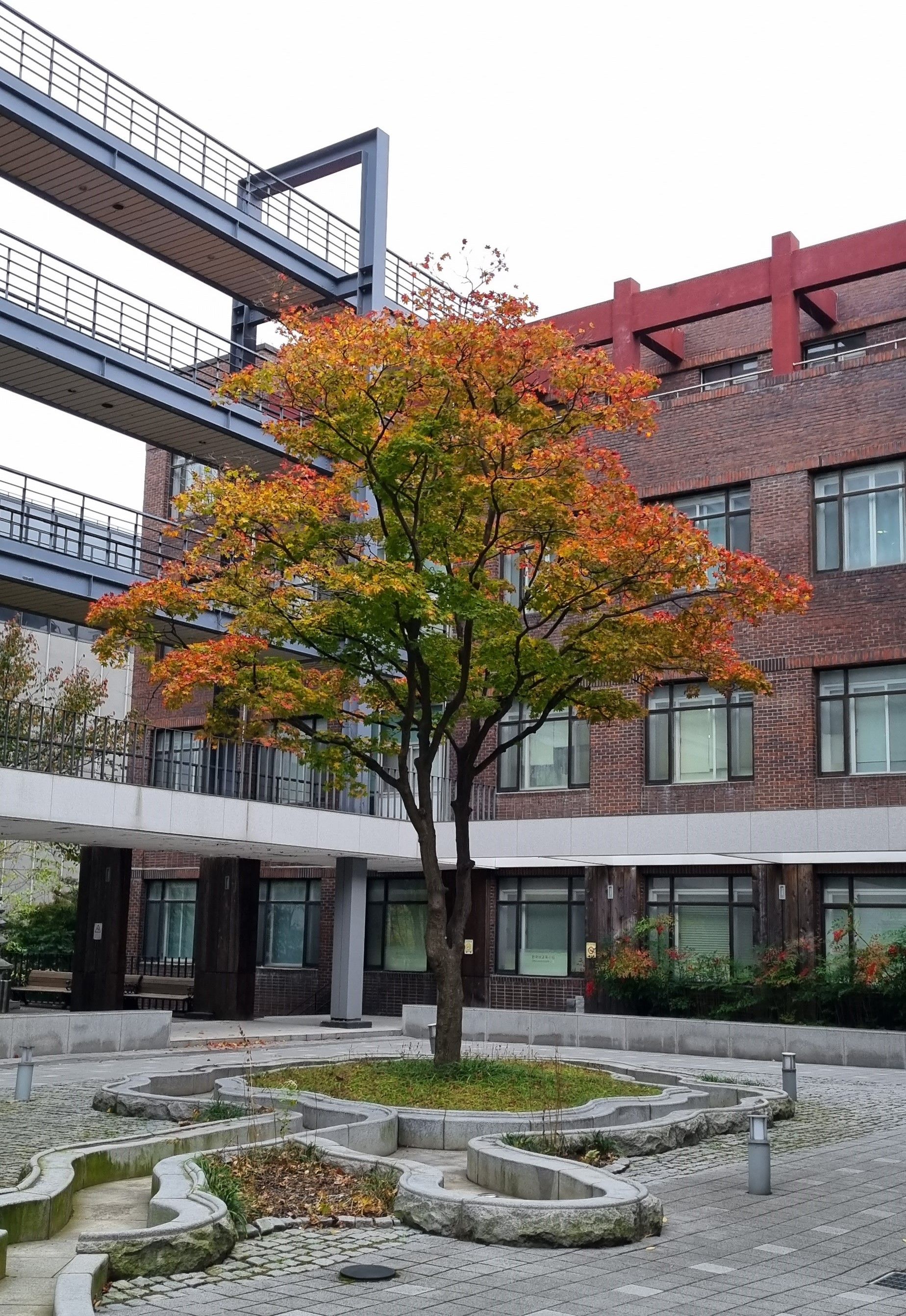 Course Review Korean Language Level 6, Seoul National University Kcampus