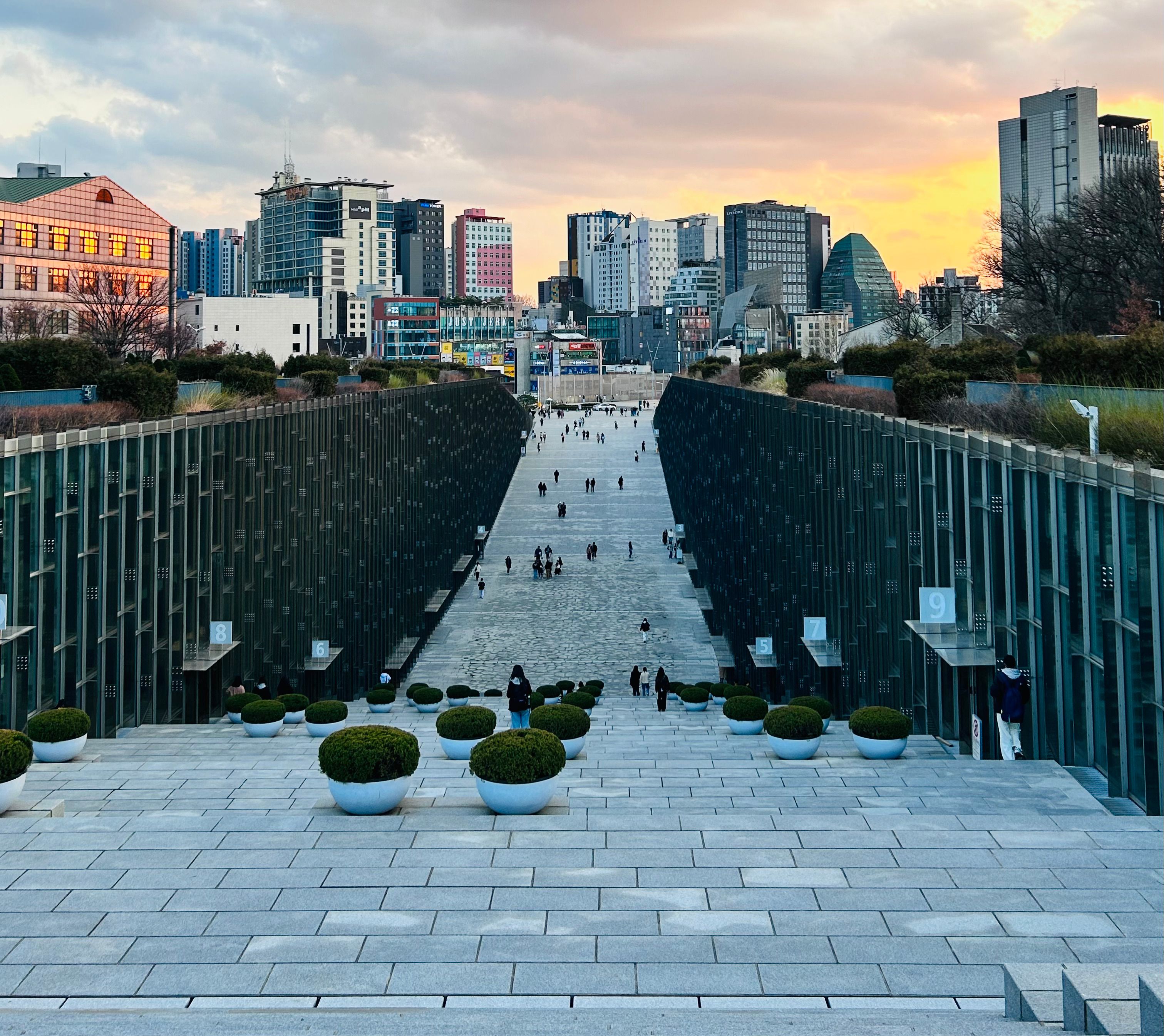 Finding solace in the embrace of Ewha Womans University's comfort clubs
