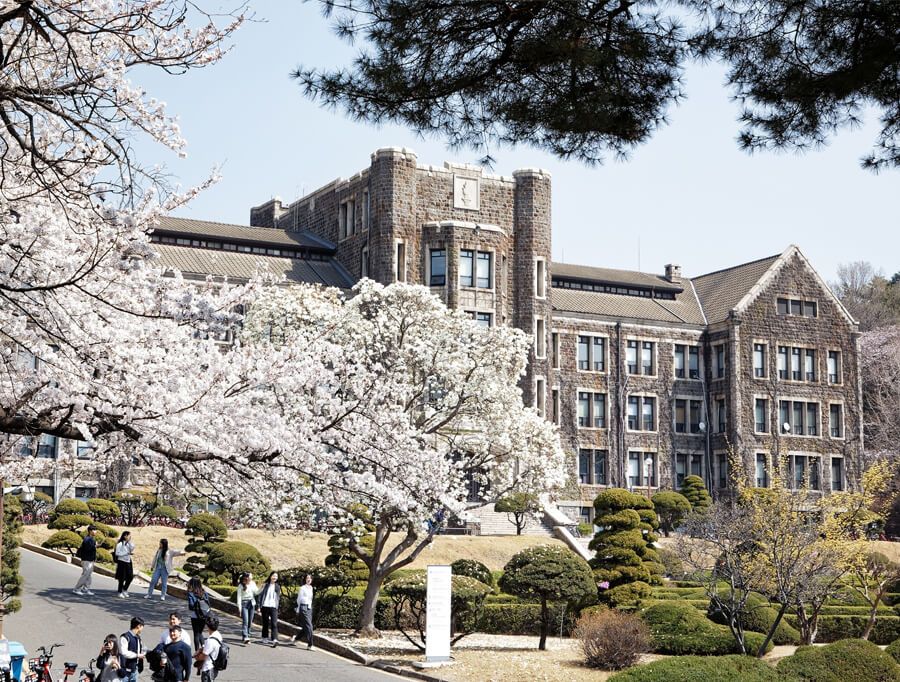 🥉5 Reasons Why You Should Study at Yonsei University | K-campus